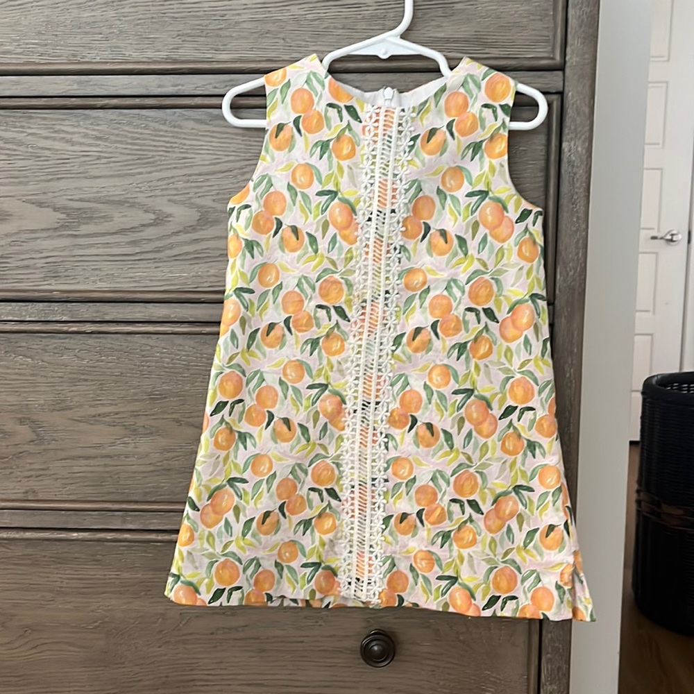 J. Bailey Liza Peach Print Dress